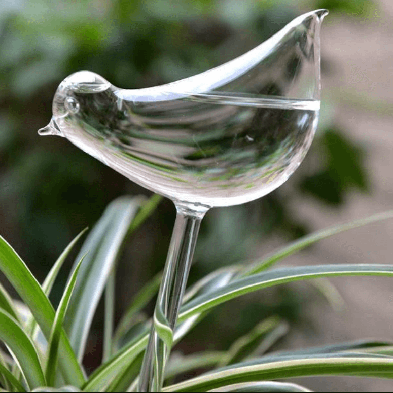 Selbstbewässernde Blumenzwiebel-Bella Webshop
