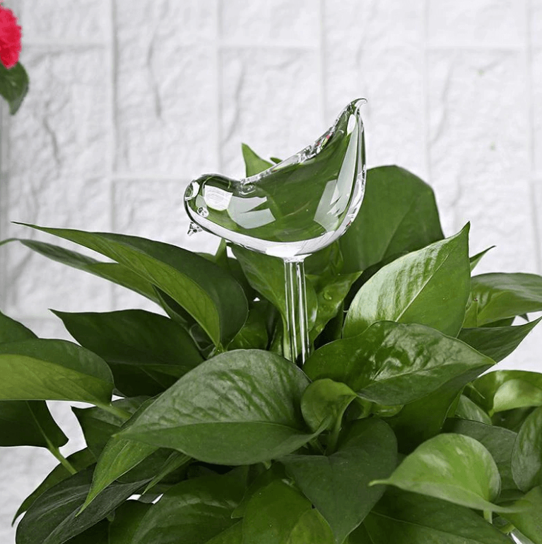 Selbstbewässernde Blumenzwiebel-Bella Webshop