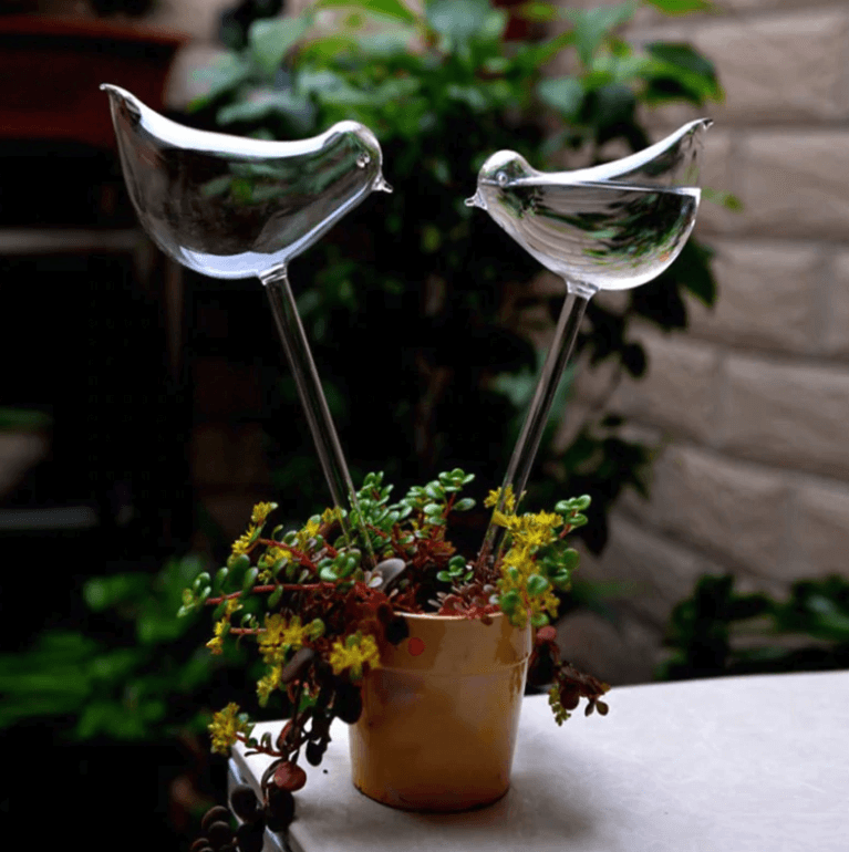 Selbstbewässernde Blumenzwiebel-Bella Webshop