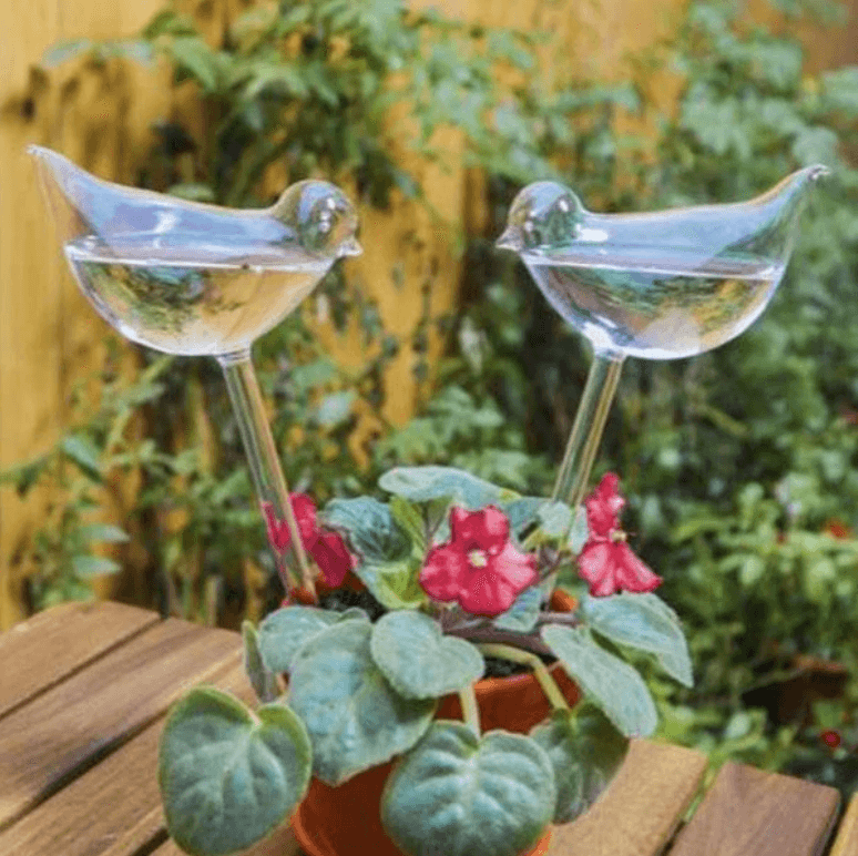 Selbstbewässernde Blumenzwiebel-Bella Webshop