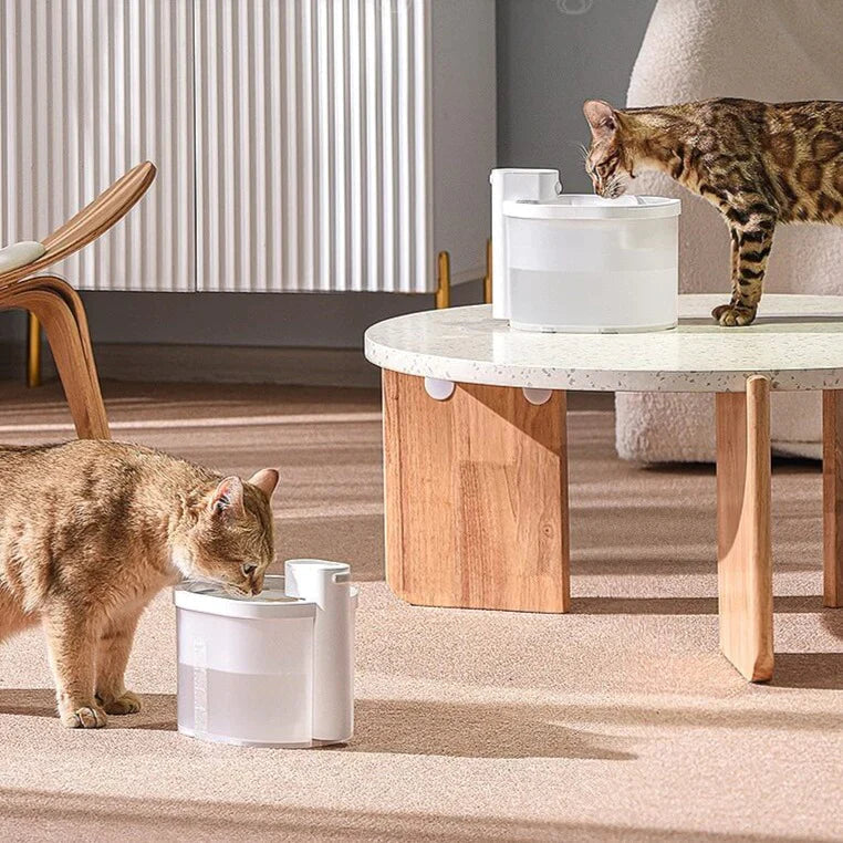 Smart Sensor Katzenwasserbrunnen-Bella Webshop