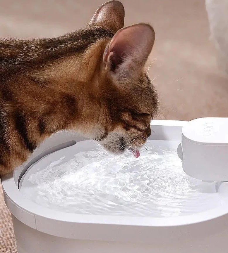 Smart Sensor Katzenwasserbrunnen-Bella Webshop