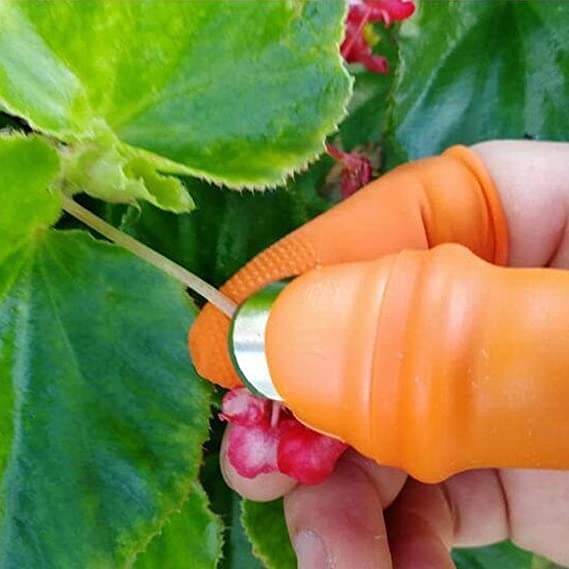 Thumb Knife-Bella Webshop