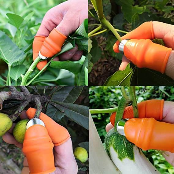 Thumb Knife-Bella Webshop