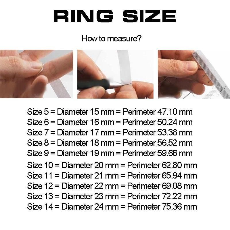Titan Stahl Drachen Ringe-Bella Webshop