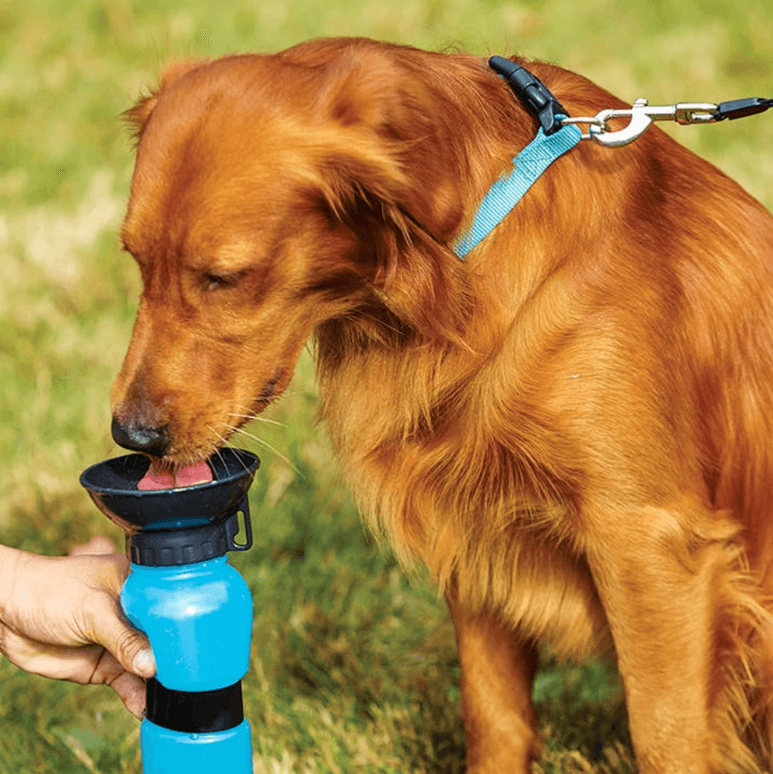 Tragbare Squeeze-Hundewasserflasche-Bella Webshop
