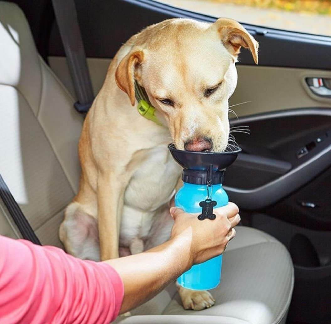 Tragbare Squeeze-Hundewasserflasche-Bella Webshop