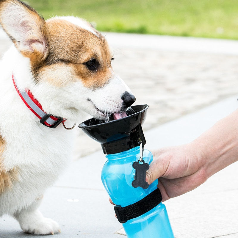 Tragbare Squeeze-Hundewasserflasche-Bella Webshop