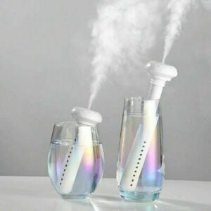 Wasserflaschen-Luftbefeuchter-Bella Webshop