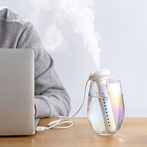 Wasserflaschen-Luftbefeuchter-Bella Webshop