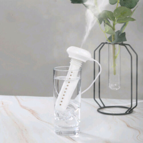Wasserflaschen-Luftbefeuchter-Bella Webshop